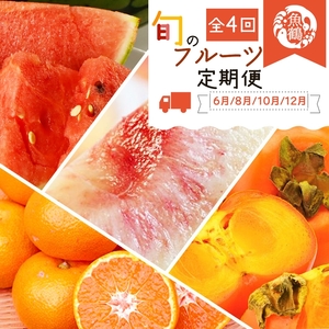 qցry6E8E10E12 S4zIBa̎RY{̃t[cZbg(XCJEEЂ炽ˊ`E݂)