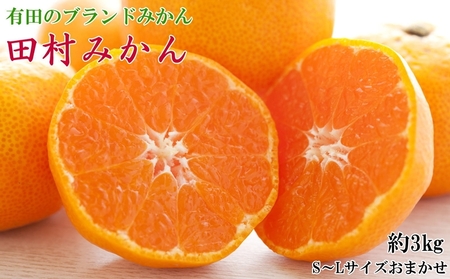 yuh݂zc݂3kg(S.M.LTCY܂EGi)