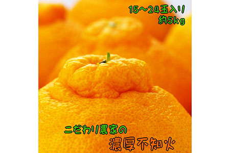 [先行予約]こだわり農家の濃厚不知火(デコポンと同品種) 15〜24玉(約5kg)| デコポン 不知火 でこぽん しらぬい 柑橘 5kg 果実 フルーツ 先行予約 冬 農家直送 濃厚 ※2026年2月上旬〜3月下旬頃に順次発送予定