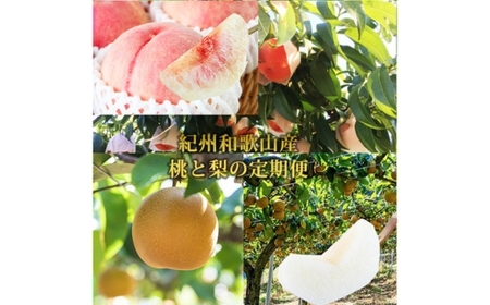 S2 t[cցi 1.8kg 8A 2kg 9j b a̎RY  iV { ʕ