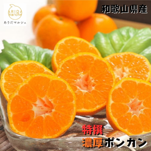 yIzZ |J 2kg b ݂  k ʕ t[c  ʎ Y a̎R ӊ