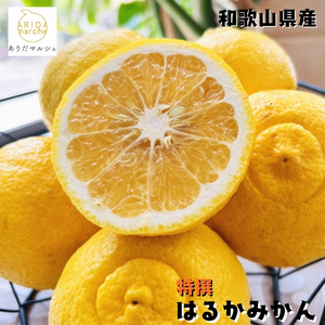 yIz͂邩 2kg b  k ʕ t[c  ʎ Y a̎R