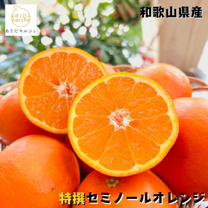 [特撰]セミノール 1kg | みかん 高級 くだもの 晩柑 柑橘 和歌山