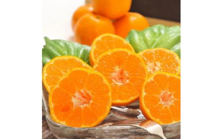 [先行予約][冬の美味][農家直送]濃厚ポンカン(ご家庭用)約3kg | 有田 柑橘 フルーツ みかん オレンジ 産地直送