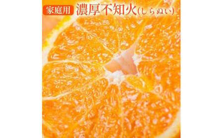 ys\z Lc炿̔Z sm (fR| Ɠi)(󂠂 ƒp) 5kg