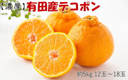 [お味濃厚]紀州有田産の大玉デコポン約5kg(12玉〜18玉入り・青秀以上)|柑橘 不知火 デコポン みかん フルーツ 果物 旬 先行予約 でこぽん 国産 産地直送 美浜町 ※2026年1月中旬〜3月中旬頃に順次発送予定