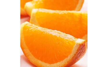 [2月より発送]家庭用 清見オレンジ7.5kg+250g(傷み補償分)[光センサー食頃出荷][樹上完熟きよみオレンジ・清見タンゴール・清美][わけあり・訳あり]