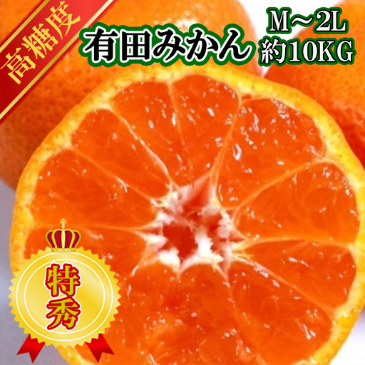 [先行予約][特秀品]有田みかん 和歌山県産 約10kg(M〜2Lサイズ混合)