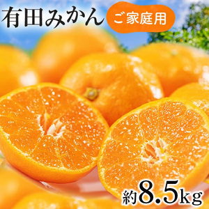 【先行予約】【数量限定】濃厚有田みかん（ご家庭用）約8.5kg 【2024年11月上旬～11月下旬頃発送】または【2024年12月上旬～12月下旬頃発送】※北海道・沖縄・離島への配送不可