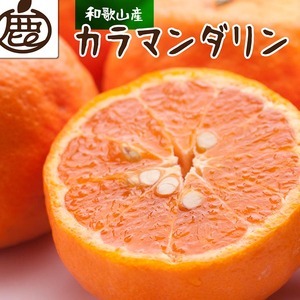 [4月より発送]厳選 カラマンダリン1kg+250g(傷み補償分)◇[南津海・なつみ][希少な春柑橘][みかんと同じように食べられます] ※北海道・沖縄・離島への配送不可 ※2026年4月上旬〜5月下旬頃に順次発送予定