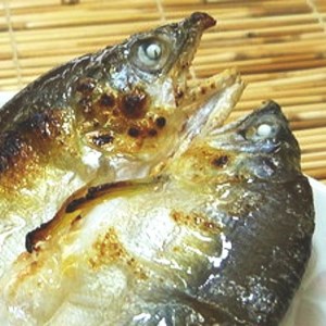 [大人気]「旨いはずです。」特選あゆ一夜干しセット(13枚入) ※北海道・沖縄・離島へのお届け不可