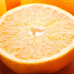 4蔭ƒp ㊮n͂5kg+250giݕ⏞jyLc̏t݂E܌E͂Eؐ͂EȂ͂zyZT[Iʁz󂠂E킯