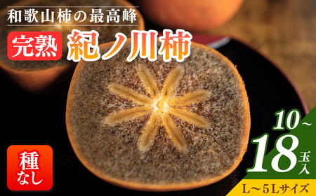 [先行予約][秋の美味][和歌山ブランド]和歌山柿の最高峰 濃厚!紀ノ川柿 10〜18玉入り◇