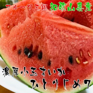 小玉スイカ ２玉 京都府京丹後市 ふるさと納税サイト ふるなび