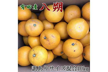 【手選果・訳あり】有田産の八朔10kg（サイズ混合） ※2025年1月下旬～2月下旬頃に順次発送予定