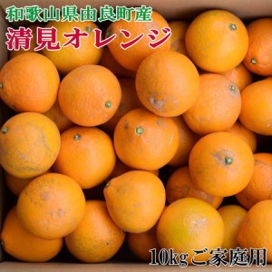 [訳あり・ご家庭用]和歌山由良町産の濃厚清見オレンジ約10kg ※2025年2月中旬〜2月下旬頃に順次発送予定