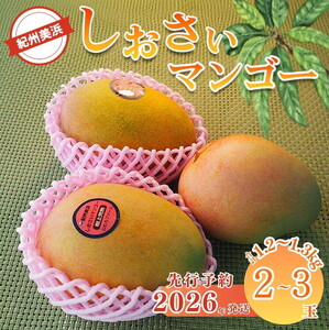 �y2026�N��s�\��z�I�B���l�������� �}���S�[ 2�`3�ʁi1.2�`1.3kg�j�b�t���[�c �ʕ� �������� �܂񂲁[ �� ���Y �H�i ����� �f�U�[�g �Y�n���� �a�̎R�����l���Y