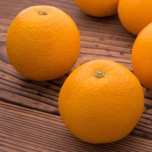 y_ƒzZiƒpj3kg | Lc k t[c ݂ IW Yn ͂