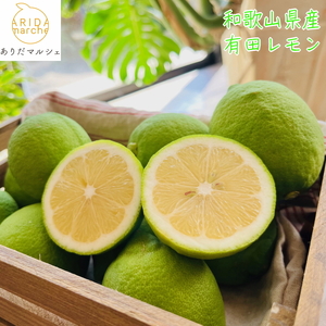 [先行予約][国産]農家直送! 有田レモン 1kg◇ ※北海道・沖縄・離島への配送不可 ※2025年9月下旬〜2026年3月下旬頃に順次発送予定