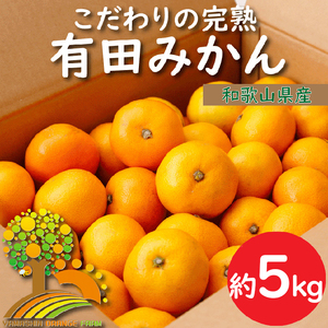 ＼農家直送/こだわりの完熟有田みかん 約5kg 有機質肥料100% ※2024年11月中旬〜2025年1月上旬頃に順次発送予定 ※北海道・沖縄・離島への配送不可