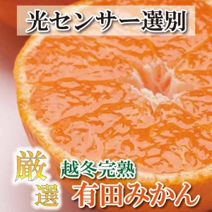 [2025年1月より発送]厳選 越冬完熟みかん1.5kg+45g(傷み補償分)[ハウスみかん][光センサー選果] ※北海道・沖縄・離島への配送不可 ※2025年1月中旬〜2月下旬頃に順次発送予定