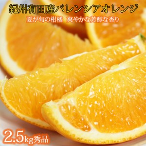 秀品 希少な国産バレンシアオレンジ 2.5kg | 果物 くだもの 柑橘 オレンジ フルーツ 和歌山 産地直送 ※2026年6月下旬～7月上旬頃に順次発送予定