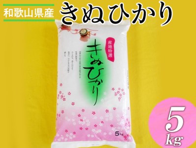 a̎RYLkqJ ?5kg(2025NY) 2025N9{菇\