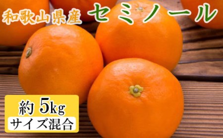 和歌山県産セミノールオレンジ約5kg(サイズ混合 秀品) ※2025年4月上旬〜4月下旬頃に順次発送予定