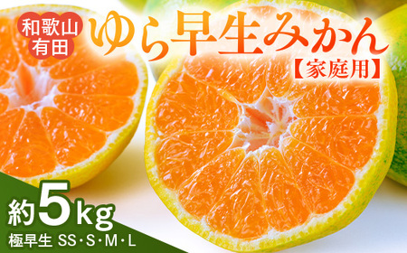 [ご家庭用 極早生]和歌山有田ゆら早生みかん 約5kg(SS、S、M、Lサイズ)[美浜町]|早生みかん フルーツ 果物 みかん ※北海道・沖縄・離島への配送不可 ※2025年10月下旬〜11月下旬頃に順次発送予定