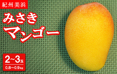 紀州美浜みさきマンゴー2〜3玉(0.8〜0.9kg) ※離島への配送不可 ※2025年7月下旬〜9月上旬頃に順次発送予定