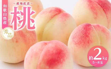 【産地直送】和歌山県産 桃 約2kg（5～8玉）秀品 もも