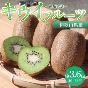和歌山産 キウイフルーツ M〜4Lサイズ 約3.6kg 秀品 |果物 フルーツ キウイ キウイ キウイ キウイ キウイ ※2026年1月下旬〜3月中旬頃に順次発送予定 ※北海道・沖縄・離島への配送不可