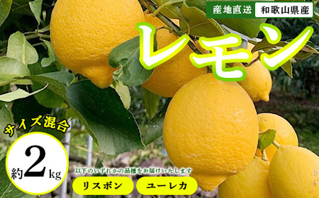 産地直送】和歌山県産 レモン 2kg サイズ混合 ※着日指定不可 ※北海道