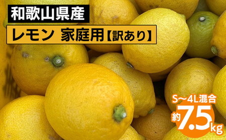 a̎RY  ƒp 7.5kg S`4L y󂠂z 2026N1{`3{ɏ\ kCEEւ̔zs