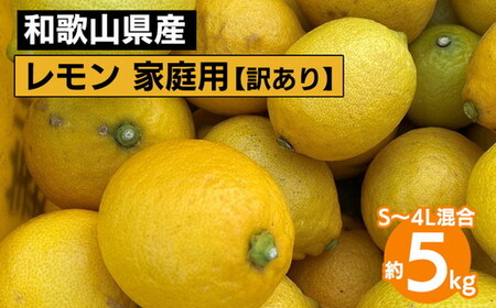 和歌山産 レモン 家庭用 5kg S〜4L混合 訳あり ※2026年1月中旬〜3月下旬頃に順次発送予定 ※北海道・沖縄・離島への配送不可