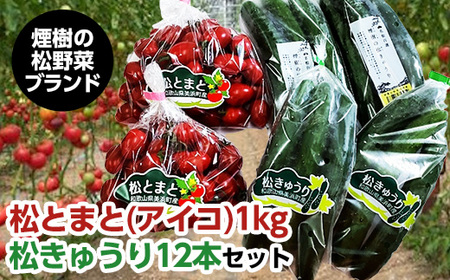 [煙樹の松野菜ブランド] 松とまと(アイコ)松きゅうりセット ※着日指定不可 ※2024年11月中旬〜2025年6月上旬頃に順次発送予定