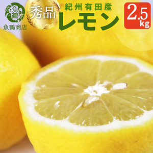 秀品 紀州有田産レモン 2.5kg ※着日指定不可 ※2025年3月上旬〜3月下旬頃に順次発送予定