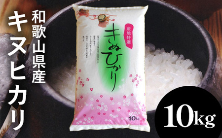 [先行予約]和歌山県産キヌヒカリ 10kg(2025年産) |米 コメ こめ 和歌山※2025年9月中旬頃より順次発送予定