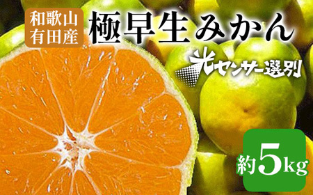 こだわりの極早生みかん 約5kg 農家直送 有機質肥料100% サイズ混合 | 早生みかん 極早生 早生 柑橘 果物 くだもの 果実 フルーツ 和歌山 有田 ※北海道・沖縄・離島への配送不可 ※2025年9月下旬〜10月中旬頃に順次発送予定