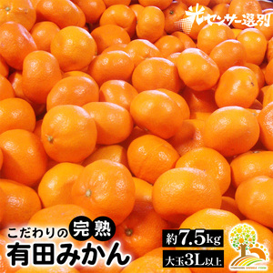 ＼光センサー選別/ 農家直送 有田みかん 約7.5kg 大玉3L以上 有機質肥料100% ※沖縄・離島への配送不可 ※2024年11月中旬〜2025年1月上旬頃に順次発送予定