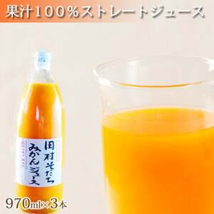 果汁100% 田村そだちみかんジュース 970ml×3本