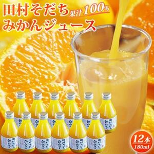 果汁100% 田村そだちみかんジュース 180ml×12本