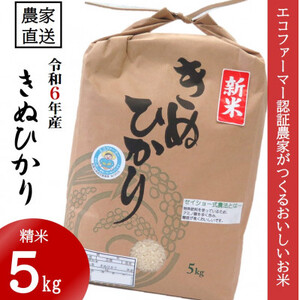 【令和6年10月～順次発送】★令和6年産新米★米「きぬひかり」5kg【1217322】