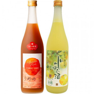 「紀州完熟南高梅・ねりうめ酒」と「じゃばら酒」各720ml[日高町]