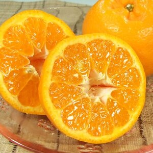 |J [8kg]a̎RLcY t݂(ʎTCY܂)y1223182z