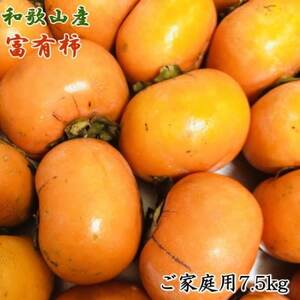 [2024年11月以降発送予定]和歌山産富有柿ご家庭用約7.5kgサイズおまかせ[日高町]