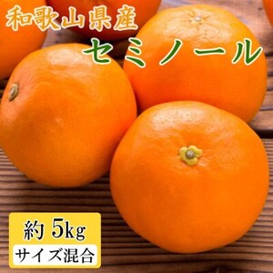 [先行受付]和歌山県産セミノールオレンジ約5kg(サイズ混合 秀品) (日高町)