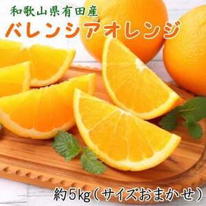 和歌山有田産バレンシアオレンジ約5kg(サイズおまかせ)(日高町)