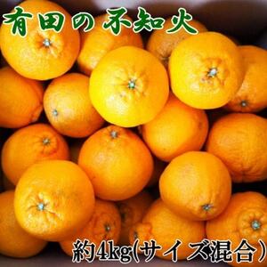 [濃厚]有田産不知火約4kg(2L〜5Lサイズ混合)(日高町)