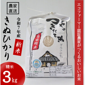 ߘa7NYVā āuʂЂv3kg  (ߘa7N10`)y1437622z